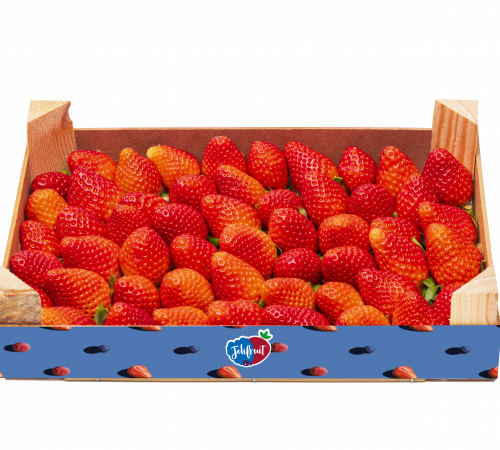 Cagette 1 kg fraise lite╠üe